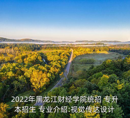 2022年黑龍江財經(jīng)學(xué)院統(tǒng)招 專升本招生 專業(yè)介紹:視覺傳達設(shè)計