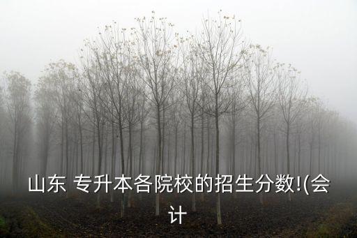 山東 專升本各院校的招生分數(shù)!(會計