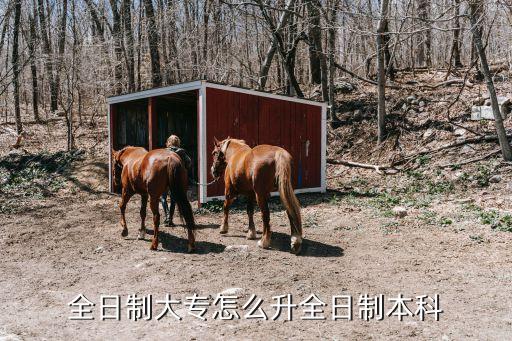 全日制大專怎么升全日制本科