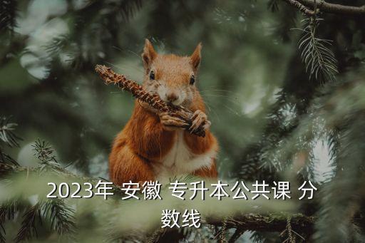 2023年 安徽 專升本公共課 分?jǐn)?shù)線