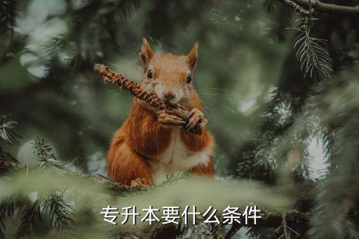  專升本要什么條件