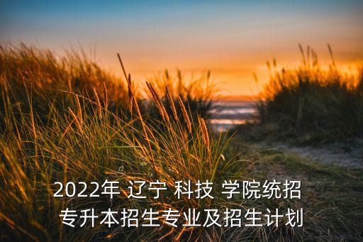 2022年 遼寧 科技 學(xué)院統(tǒng)招 專升本招生專業(yè)及招生計(jì)劃