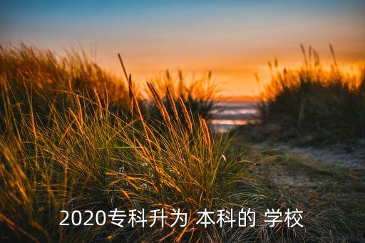 2020專科升為 本科的 學(xué)校