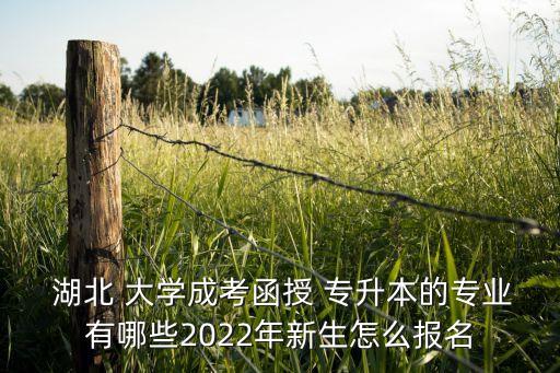  湖北 大學(xué)成考函授 專升本的專業(yè)有哪些2022年新生怎么報名