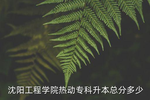  沈陽工程學院熱動專科升本總分多少