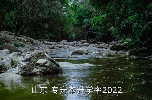  山東 專升本升學(xué)率2022