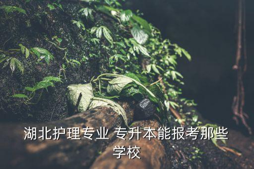  湖北護理專業(yè) 專升本能報考那些 學校