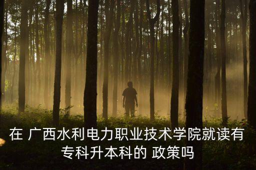 在 廣西水利電力職業(yè)技術學院就讀有?？粕究频?政策嗎