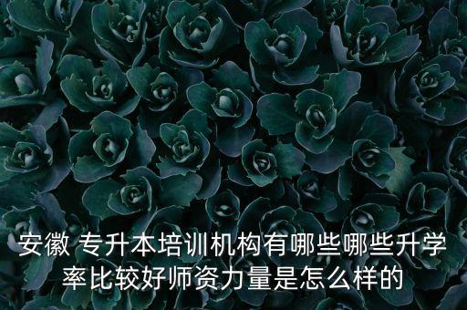 華美專(zhuān)升本是什么,華美俱樂(lè)部救助是什么