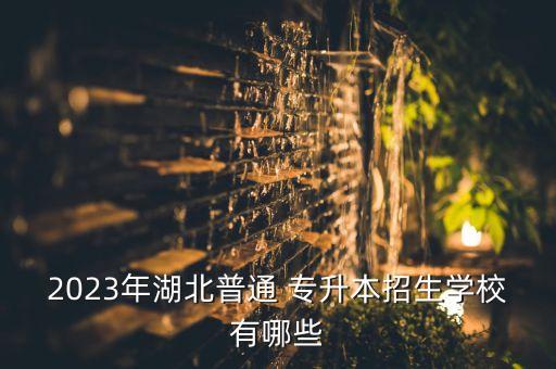 2023年湖北普通 專升本招生學(xué)校有哪些