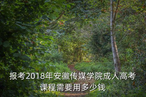 報(bào)考2018年安徽傳媒學(xué)院成人高考課程需要用多少錢