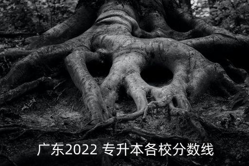  廣東2022 專升本各校分?jǐn)?shù)線