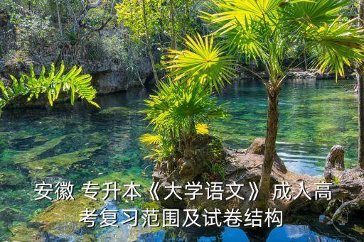  安徽 專升本《大學(xué)語(yǔ)文》 成人高考復(fù)習(xí)范圍及試卷結(jié)構(gòu)