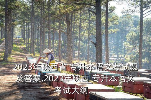 2023年陜西省 專升本語文考試題及答案,2023年陜西 專升本語文考試大綱...