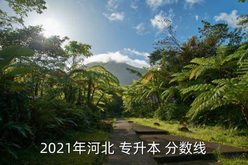 2021年河北 專升本 分數(shù)線