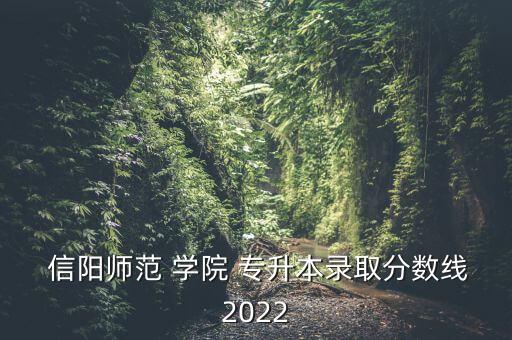  信陽師范 學院 專升本錄取分數線2022