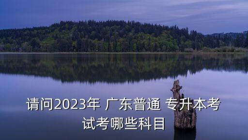 請(qǐng)問2023年 廣東普通 專升本考試考哪些科目