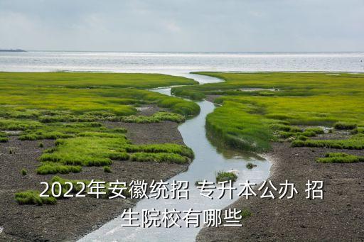 2022年安徽統(tǒng)招 專升本公辦 招生院校有哪些