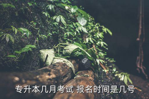  專升本幾月考試 報(bào)名時(shí)間是幾號