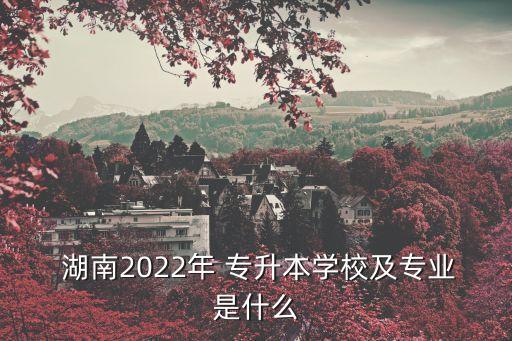  湖南2022年 專升本學校及專業(yè)是什么