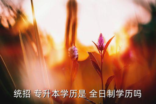 統(tǒng)招 專升本學(xué)歷是 全日制學(xué)歷嗎