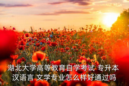 湖北大學高等教育自學考試 專升本 漢語言 文學專業(yè)怎么樣好通過嗎