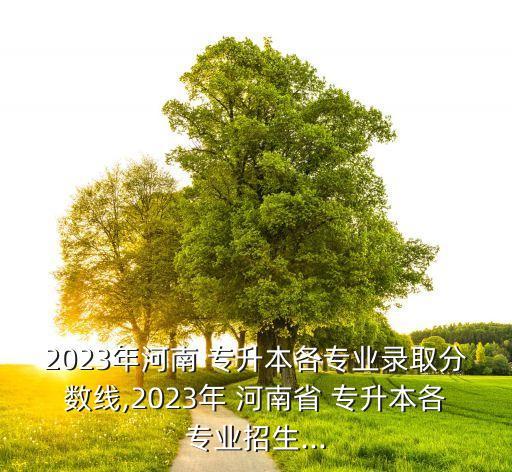 2023年河南 專升本各專業(yè)錄取分?jǐn)?shù)線,2023年 河南省 專升本各專業(yè)招生...