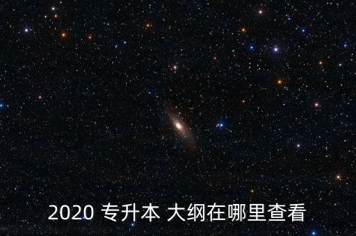 2020 專(zhuān)升本 大綱在哪里查看