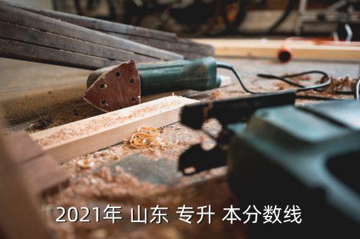 2021年 山東 專升 本分數線