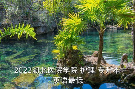 2022湖北醫(yī)院學(xué)院 護(hù)理 專升本 英語(yǔ)最低