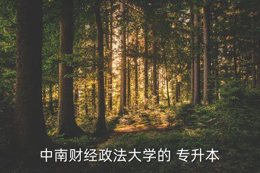 中南財(cái)經(jīng)政法大學(xué)的 專升本