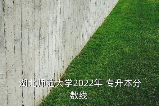  湖北師范大學2022年 專升本分數(shù)線