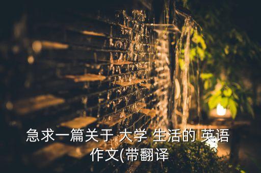 專升本英語作文 關(guān)于大學(xué)生活,多姿多彩的大學(xué)生活英語作文