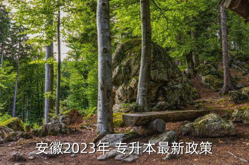 安徽2023年 專升本最新政策