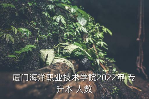 廈門海洋職業(yè)技術學院2022年 專升本 人數(shù)