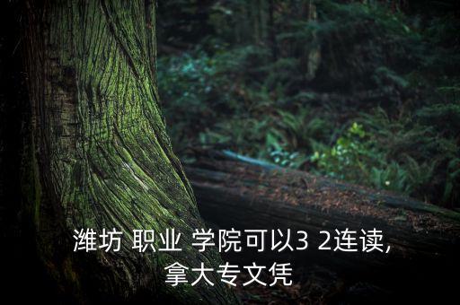  濰坊 職業(yè) 學院可以3 2連讀,拿大專文憑