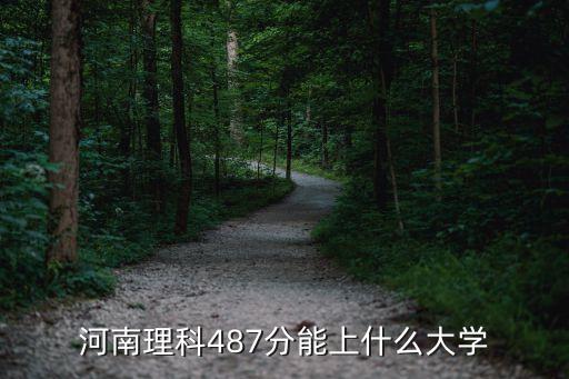 河南理科487分能上什么大學