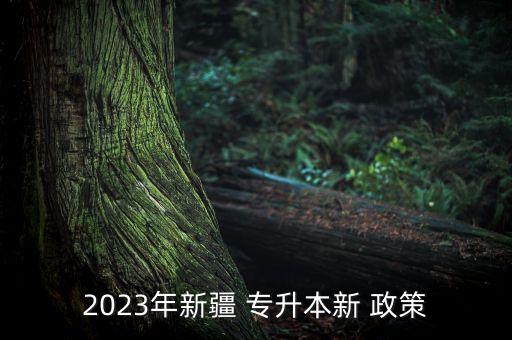 2023年新疆 專升本新 政策