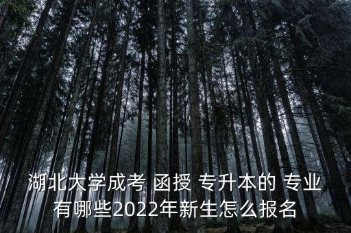 湖北大學(xué)成考 函授 專升本的 專業(yè)有哪些2022年新生怎么報(bào)名