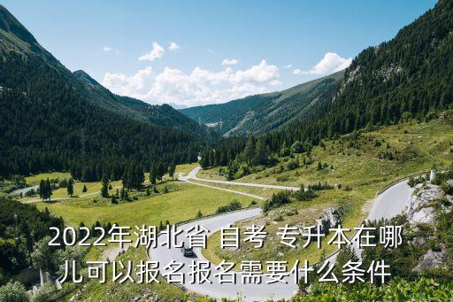 2022年湖北省 自考 專升本在哪兒可以報(bào)名報(bào)名需要什么條件