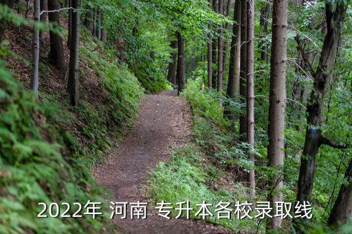 2022年 河南 專升本各校錄取線