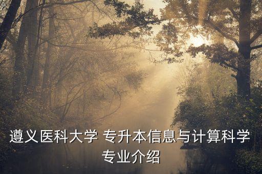 遵義醫(yī)科大學(xué) 專升本信息與計算科學(xué)專業(yè)介紹