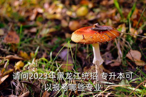 請問2023年黑龍江統招 專升本可以報考哪些專業(yè)