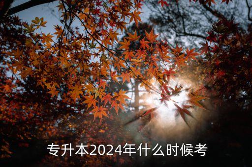  專升本2024年什么時(shí)候考