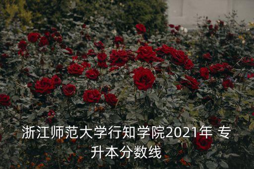 浙江師范大學(xué)行知學(xué)院2021年 專升本分?jǐn)?shù)線