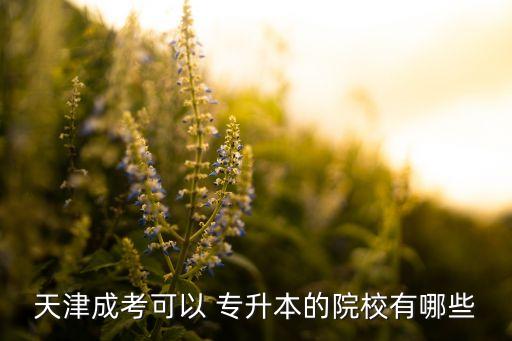 天津大學(xué) 專升本