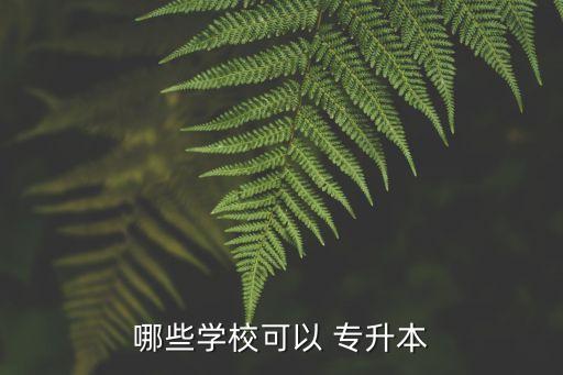 哪些學(xué)?？梢?專升本