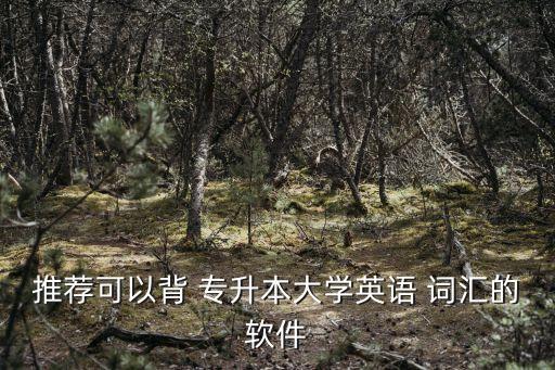 推薦可以背 專升本大學(xué)英語 詞匯的軟件