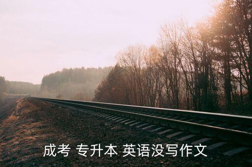 成考 專升本 英語(yǔ)沒(méi)寫作文