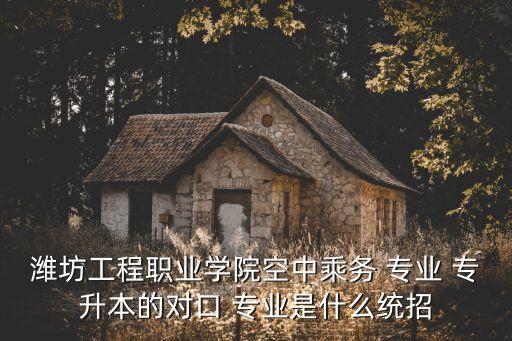 濰坊工程職業(yè)學(xué)院空中乘務(wù) 專業(yè) 專升本的對口 專業(yè)是什么統(tǒng)招